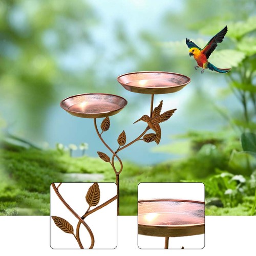 Bain oiseaux extérieur avec - bain,