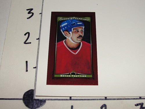 Bryan trottier 2013 goodwin - 2013,