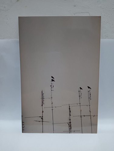 Paysage urbain avec antennes - urbain,