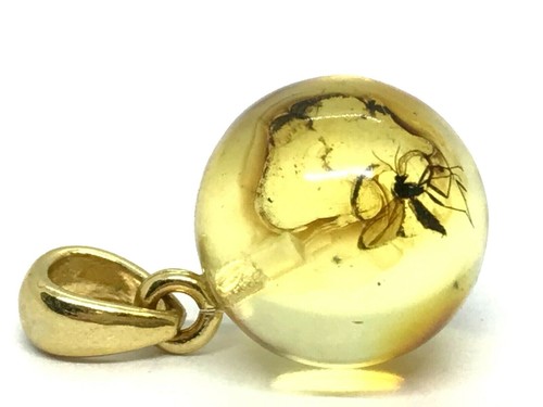 Pendentif ambre cadeau insect - pendentif,