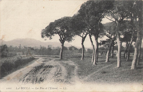 Bocca pins esterel - 06,