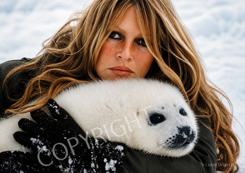 Photo brigitte bardot - photo,