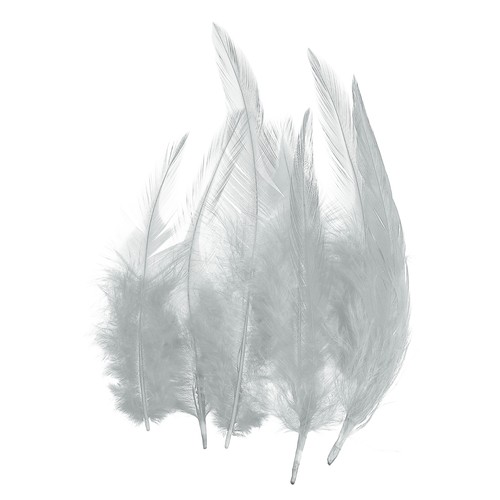 Plumes coq selle et - plumes, de