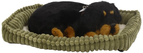 4916 peluche chien - peluche,