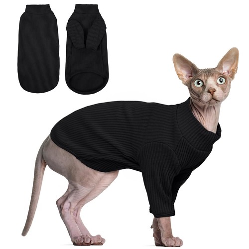 Pull chat sphynx vêtements - chat,