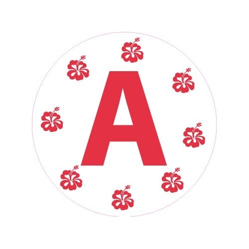 Jeune conducteur apprenti - a,