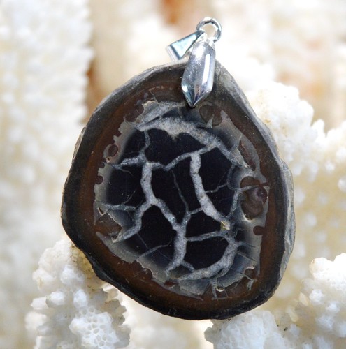 Septaria 104 carats - ,