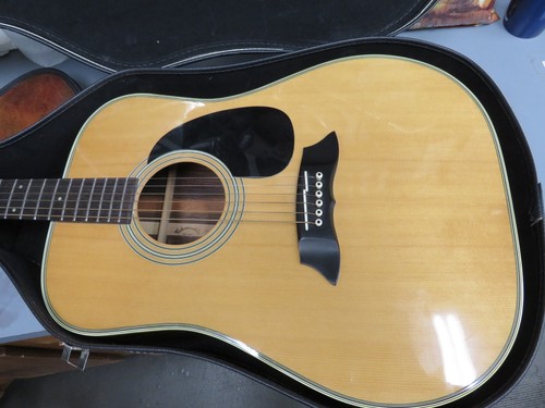 1981 takamine 363 - 1981, f-363