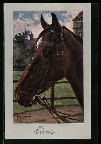 Carte postale artiste cheval - carte,