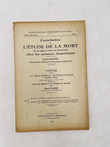 René florio these - renÉ,