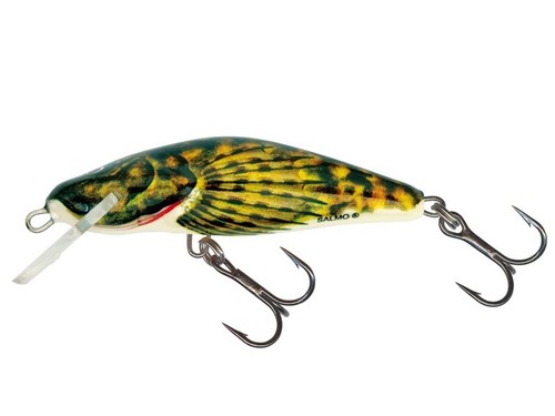Salmo bullhead 6cm bd6s - 8g,