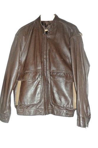 Blouson cuir veritable - en,
