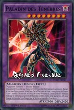 Yu-Gi-Oh ! Paladin des Ténèbres YGLD-FRC41 VF/COMMUNE