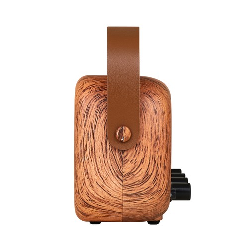 Portable guitar amplifier - 1,
