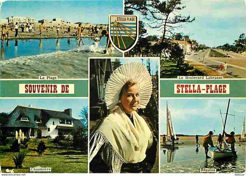 Carte postale stella - 62,