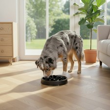 Gamelle anti-glouton –