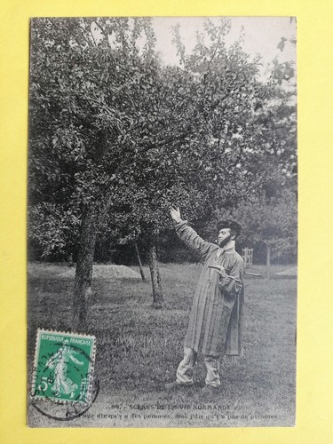 Cpa scène vie normande - cpa,