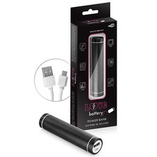 Accessoires Chargeur Batterie