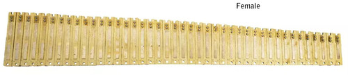 Professional harmonium sur - harmonium,