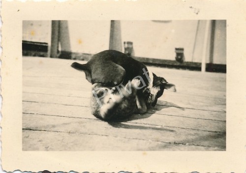 Photo kriegsmarine petits - de,