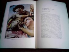 livre michel-ange génies et