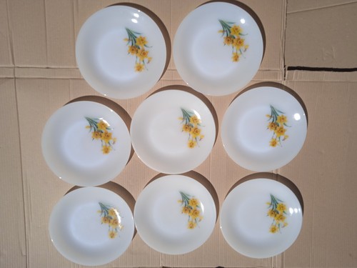Assiettes plates arcopal - assiettes,