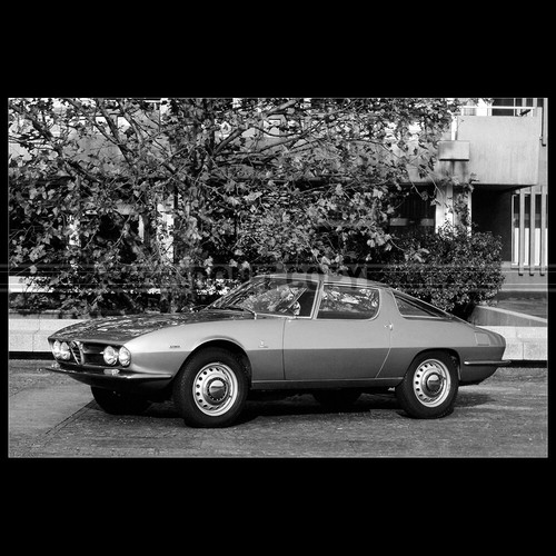 Photo 037298 alfa - a.037298, romeo