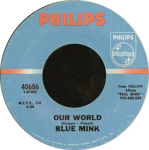 Vison bleu notre monde - -,