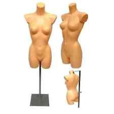 Mannequin Torse Femme Crème Sur Support Réglable Lingerie Maillots De Bain