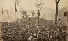 Photo Samuel Bourne Albuminé Darjeeling Inde 1865
