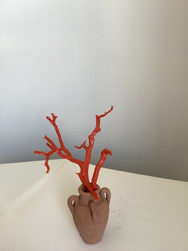Jolie branche corail - branche,