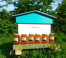 Miel de printemps les abeilles