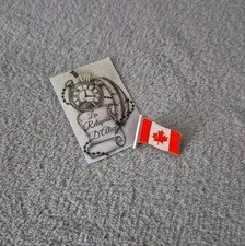 Insigne / broche drapeau