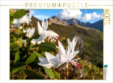 CALVENDO Puzzle Schlumbergera