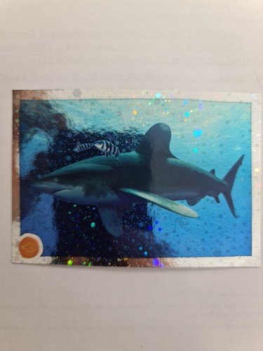 Image sticker autocollant