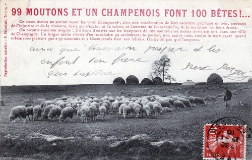Carte postale moutons un - et,