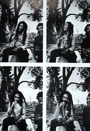 Bob marley poster marijuana - bob,