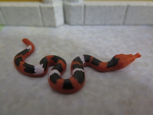 Grand serpent orange noir - grand,