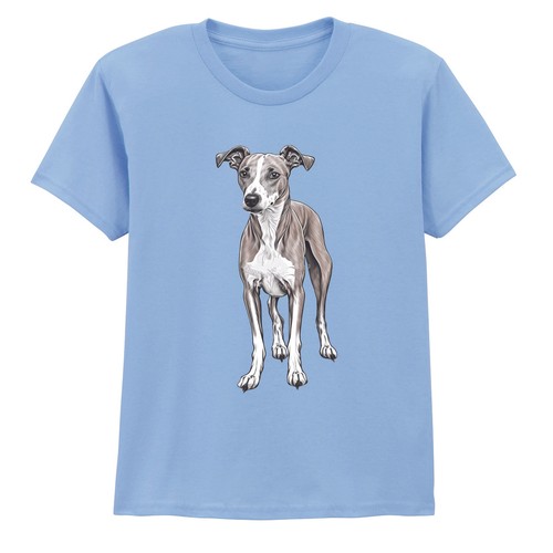 Whippet dog animals whippets - whippet,