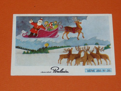 Image chocolat poulain animaux - poulain,