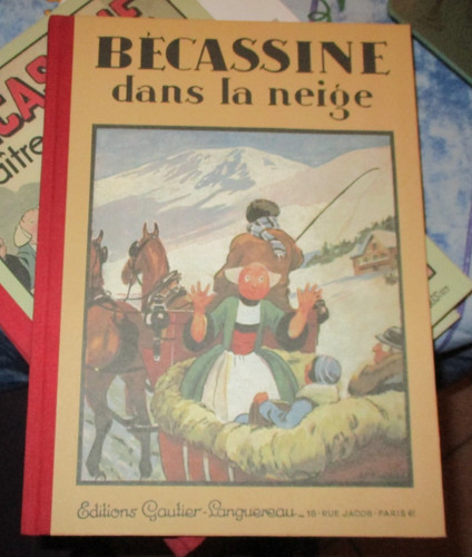 Becassine dans neige bd - becassine,