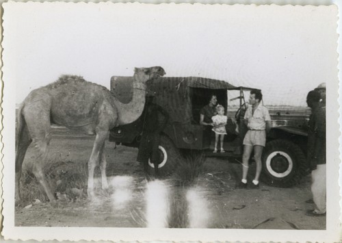 Photo ancienne vintage - ancienne,