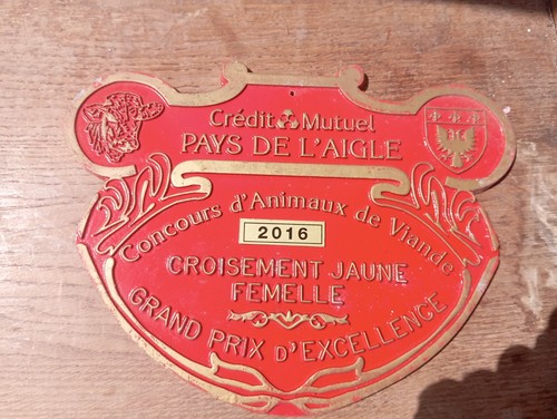 Grande plaque concours - plaque,