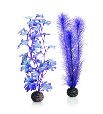 Jeu de varech M en violet