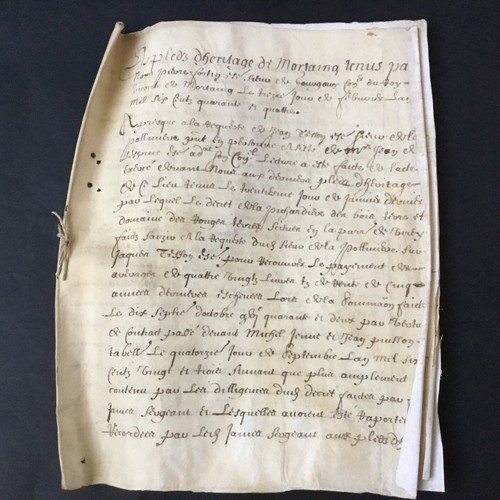 Parchemin 1644 xviiè velin - parchemin,