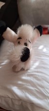 ancienne peluche des années