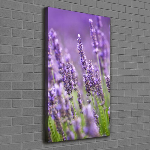 Tulup tableau sur - tulup,