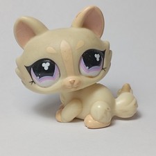 AUTHENTIQUE LPS LITTLEST Petshop HASBRO - Chaton - Kitten Cat - #848