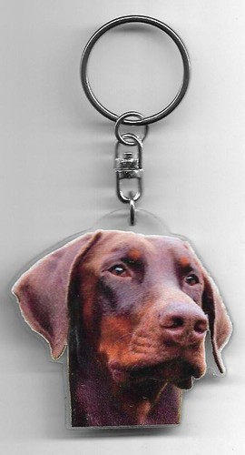 Dobermann porte clés chien - ,