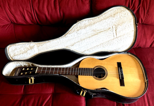 Giannini guitar 70s brazil - giannini,
